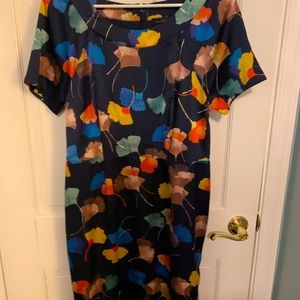 Limited printed shift dress.